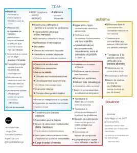 Comparaison TDAH - Autisme - HPI