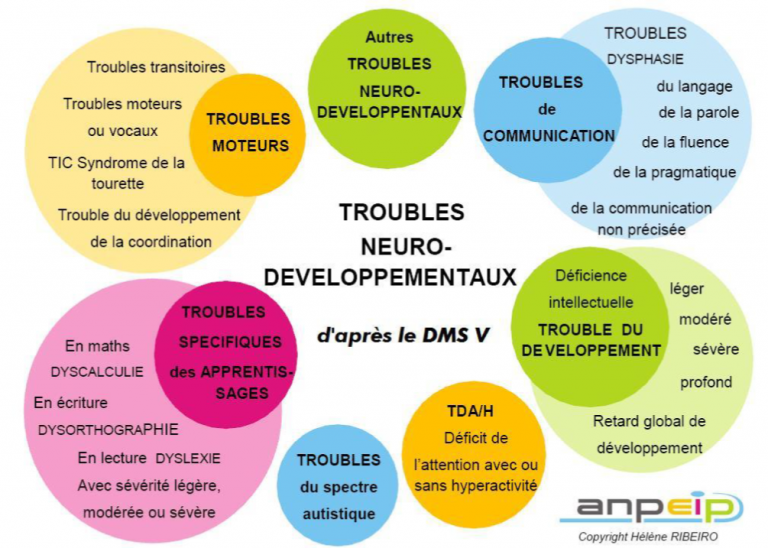 Neuroatypie, Neurodiversité, Neurodivergence