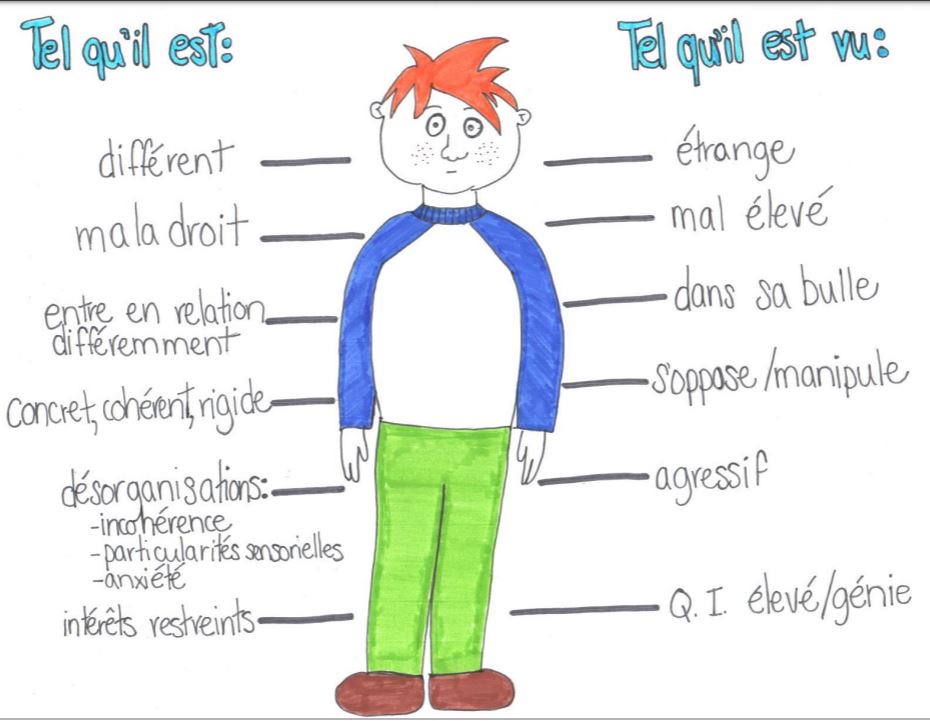 Environ 1/4 des lecteurs de ce site se reconnaissent dans l’autisme de haut niveau (Asperger)