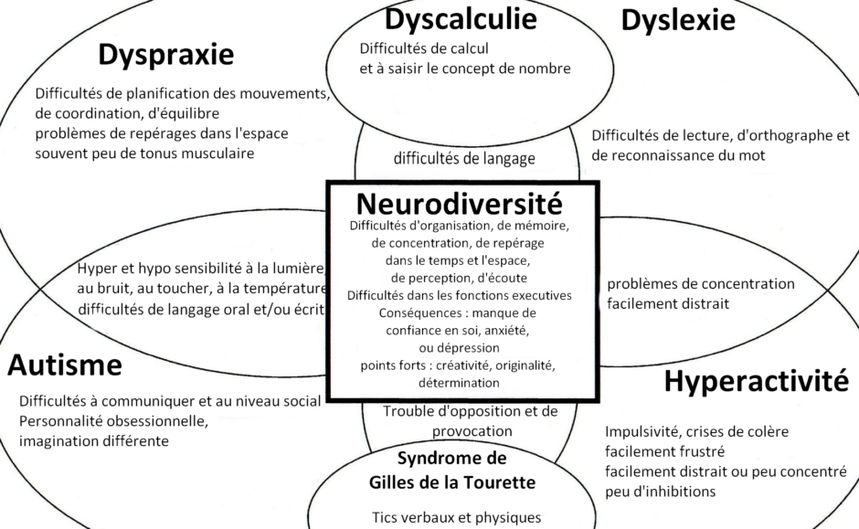 cropped-la-neurodiversite-png-neuroatypie-tdah-tsa-dys-hpi-hpe