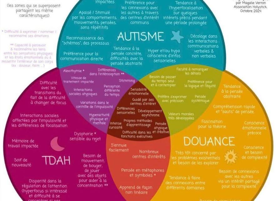 Différences et points communs : TSA (Autisme), TDAH, HPI (Douance)
