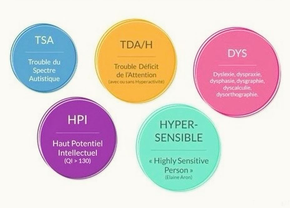 NeuroAtypie, Neurodiversité, Neurodivergence, Neurodeveloppement, TND